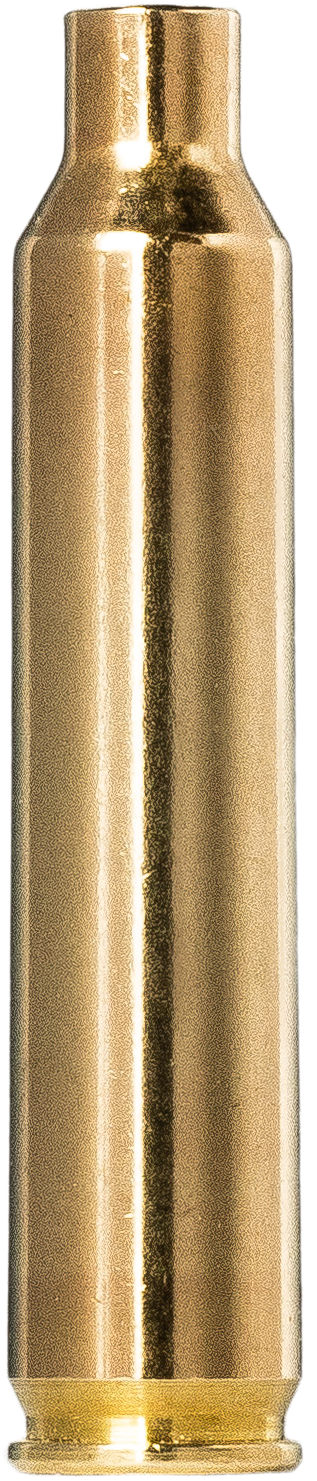 100 NORMA  Hülsen .204 RUGER