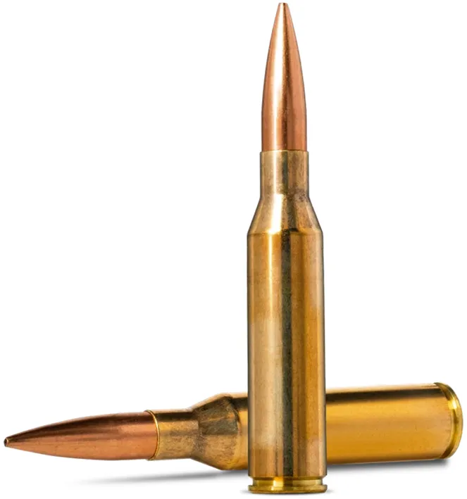 20 NORMA .338 LAPUA MAG 250 GR Match King