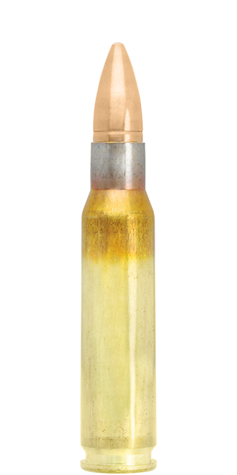 20 LAPUA .308 Win. 123grs FMJ, 8,0g