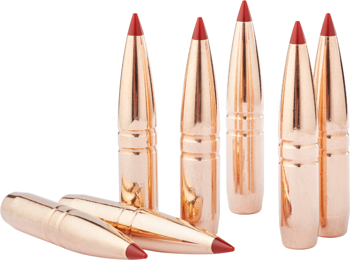 50 HORNADY .338-185-CX bleifrei