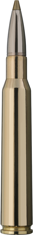 20 RWS 7X64 EVO GREEN 8,2g 127grs         bleifrei