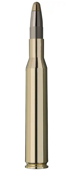 20 RWS .308 WIN EVO 11,9g 184grs