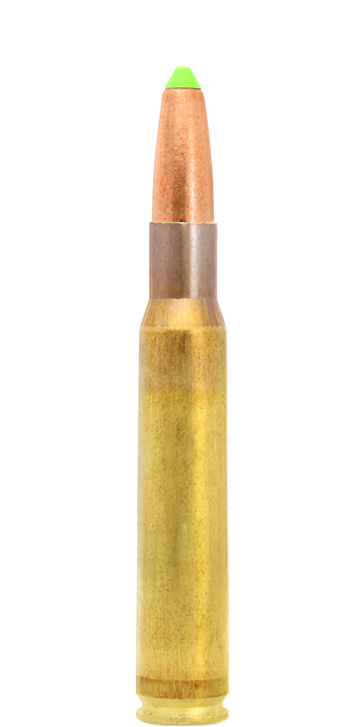 20 LAPUA .30-06 Springf.170gr Naturalis, 11,0g