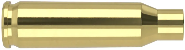 100 HÜLSEN .221 REM. FIREBALL Nosler Messinghülsen