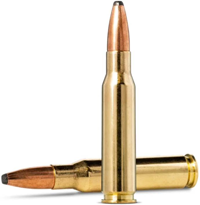 20 NORMA ORYX .308Win -180 grs TM SP - 11,7 g / 180 grs.