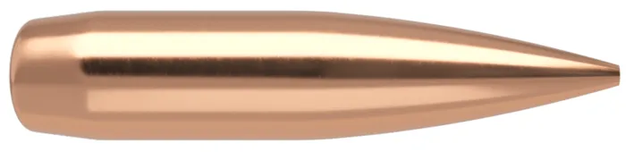 500 NOSLER RDF HPBT .224 70gs Geschosse